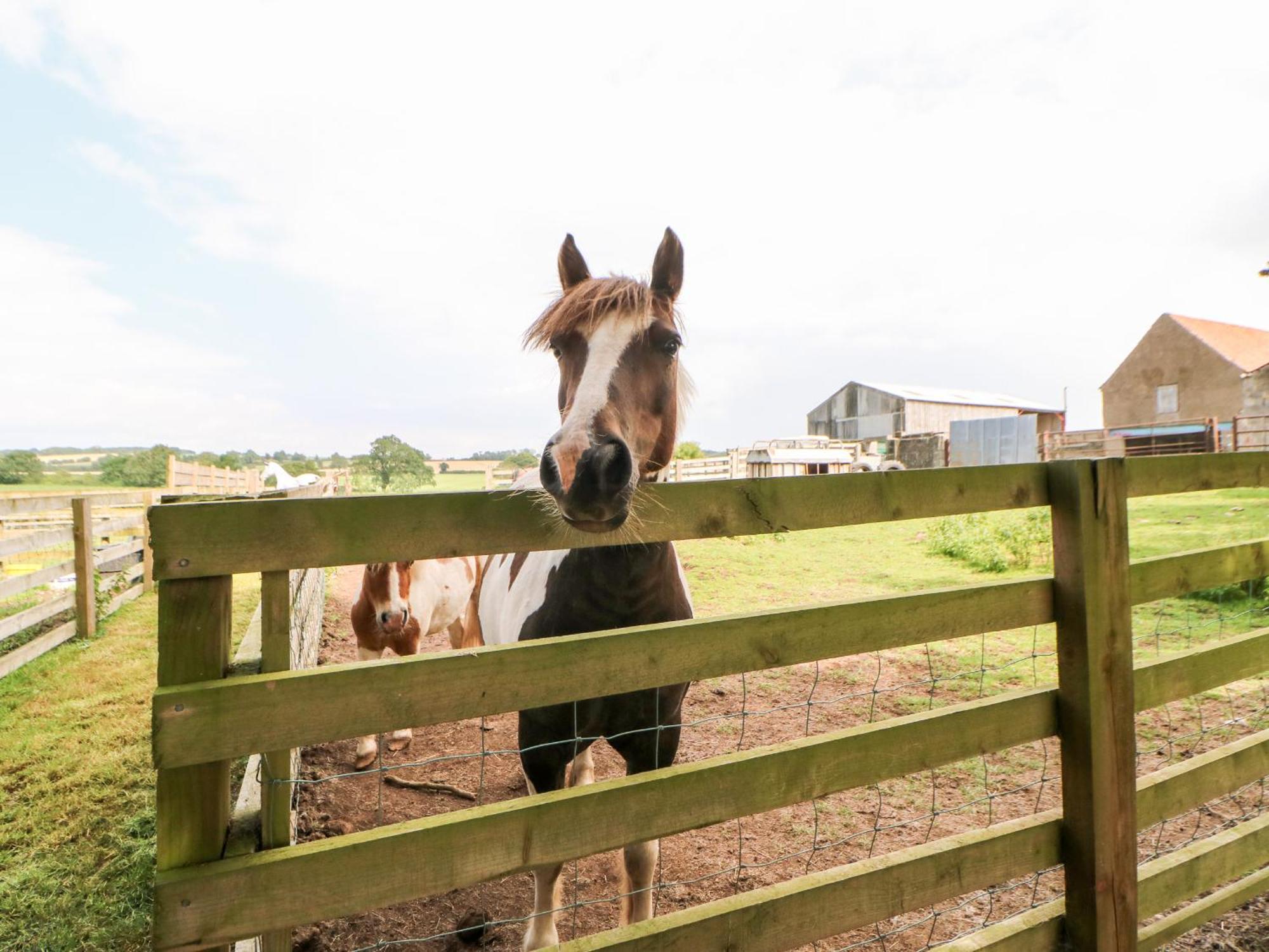 Willa The Barn Northallerton Zewnętrze zdjęcie